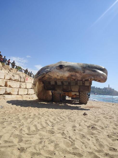 WhatsApp Image 2022-05-20 at 4.51.29 PM.jpeg